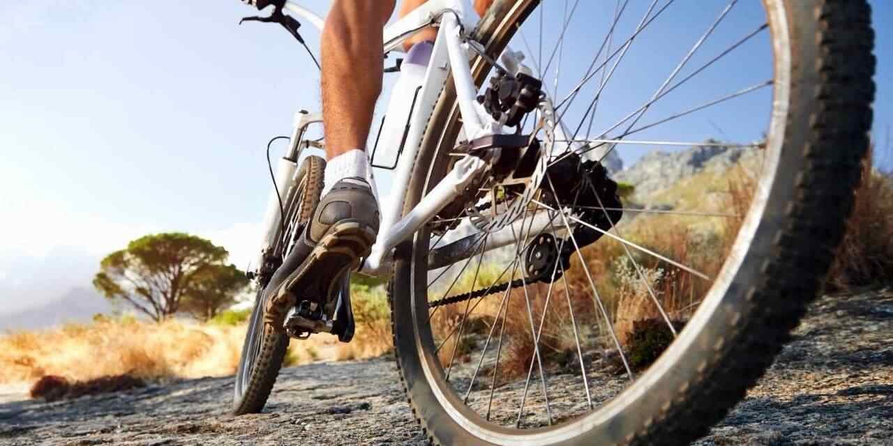 Fahrradbereifung für verschiedene Bodenverhältnisse