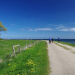Auf dem Ostseeradweg die Schönheit der Ostseeküste entdecken
