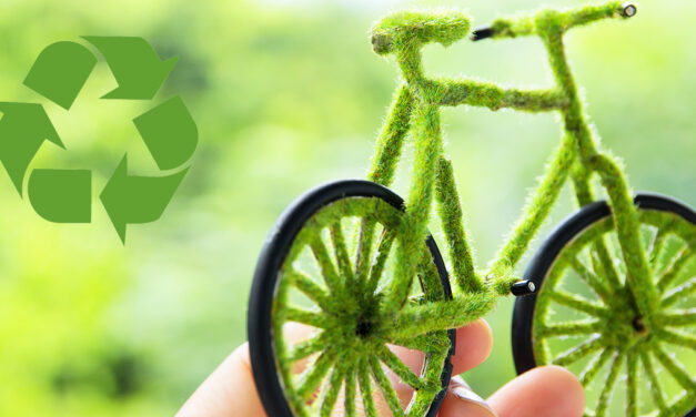 Qualität, Wartung und Recycling: Tipps für mehr Nachhaltigkeit auf dem Rad